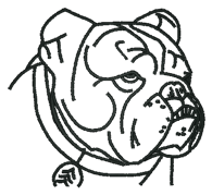 Bulldog Outline