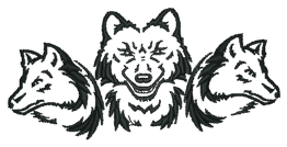 Wolf Pack Outline